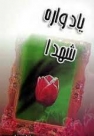 ما کماکان در دفاع هستیم چرا که دفاع همچنان باقی است