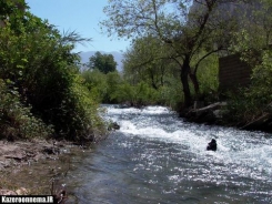 سارقان میراث فرهنگی پرسنل میراث را به گلوله بستند