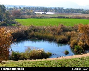 چشمه دادین