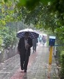 از کمترین میزان بارش بناف تا بیشترین میزان بارش قائمیه در پهنه شهرستان کازرون